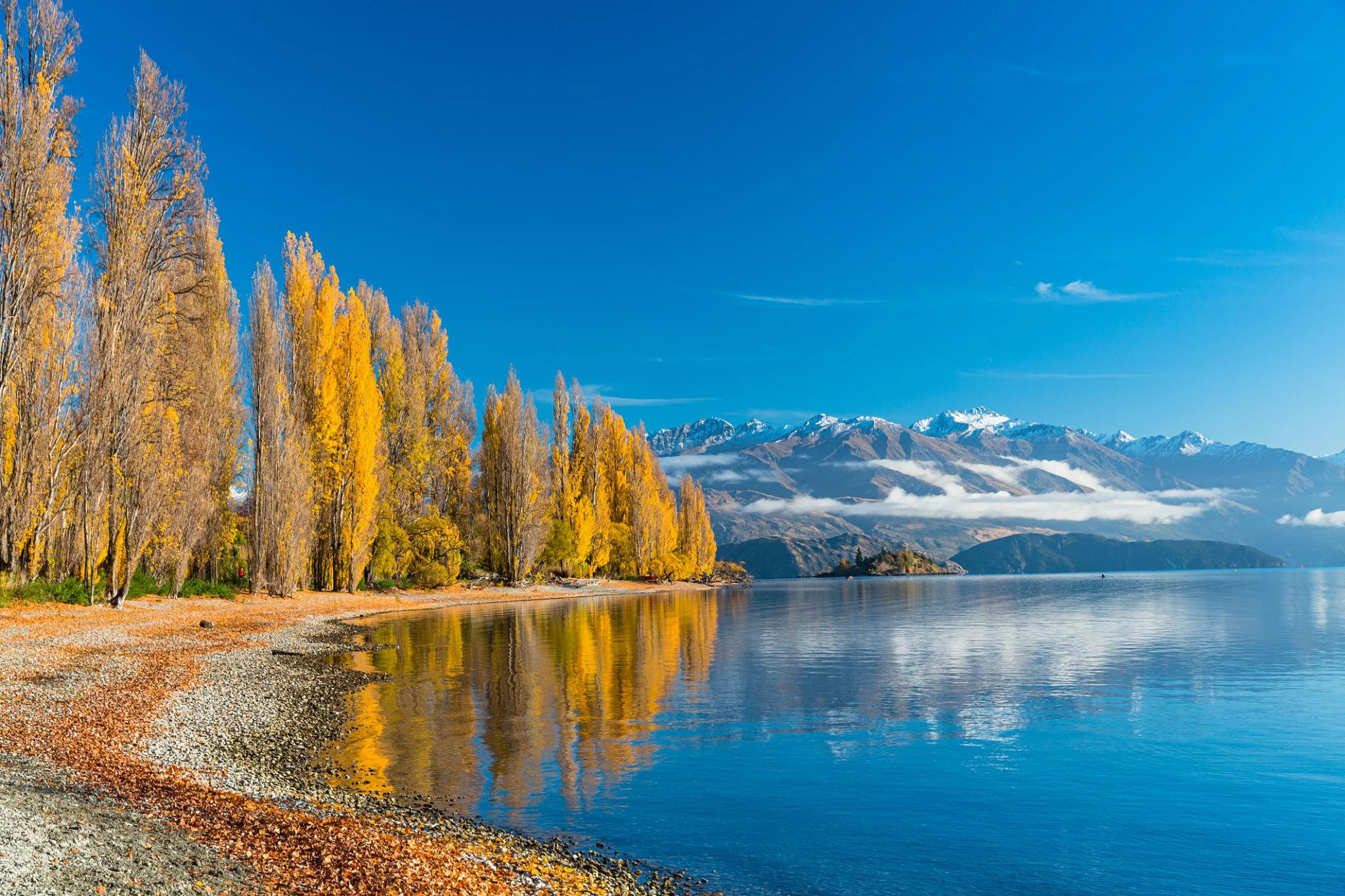 Best Things to Do in New Zealand Before Winter